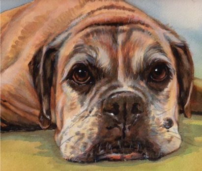Dog Watercolor Eyes Carol Wells