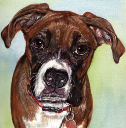 Boxer Dog Watercolor Portrait Carol Wells