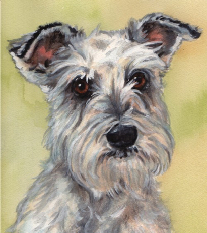 White Schnauzer Dog Watercolor Carol Wells