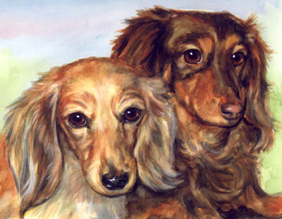 Longhaired Dachshunds Dog Watercolor Carol Wells