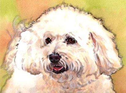 Bichon Frise Dog Watercolor Carol Wells