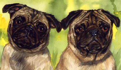 Pug Dogs Watercolor Portrait Carol Wells