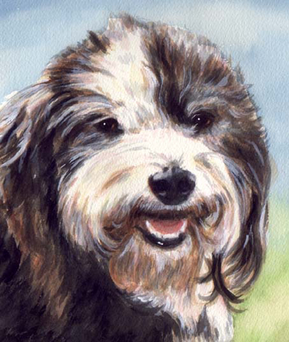 Old English Sheepdog Watercolor Pet Portrait Carol Wells