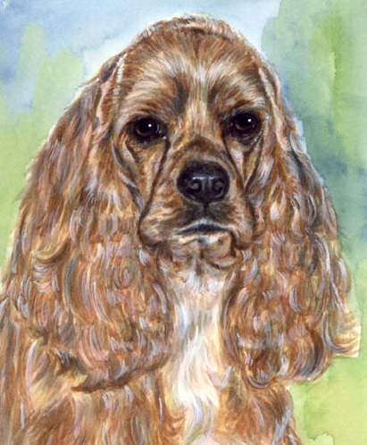 Cocker Spaniel Dog Watercolor Pet Portrait Carol Wells