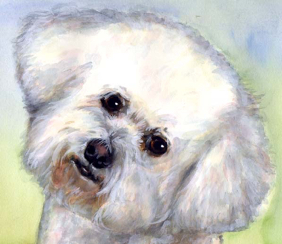 Bichon Dog Watercolor Carol Wells