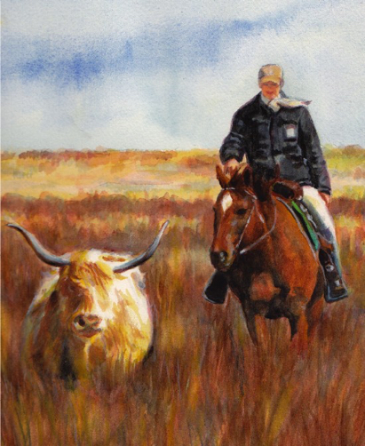 Highplains Cattle