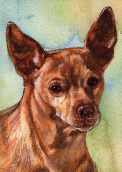 Japanese Dog Watercolor Carol Wells