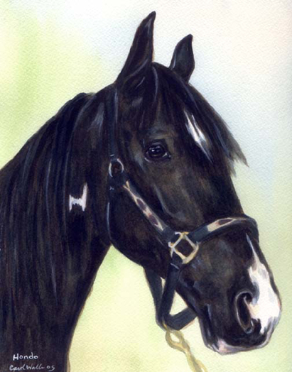 Black Horse Watercolor Carol Wells
