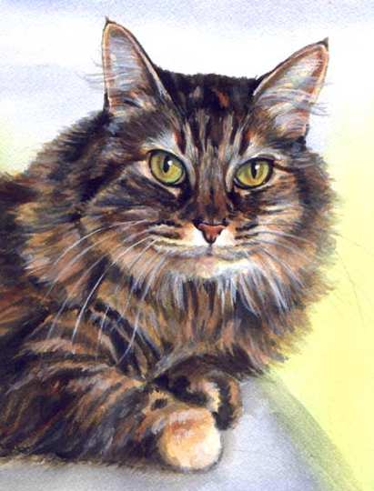 Longhaired Tabby Cat Watercolor Carol Wells