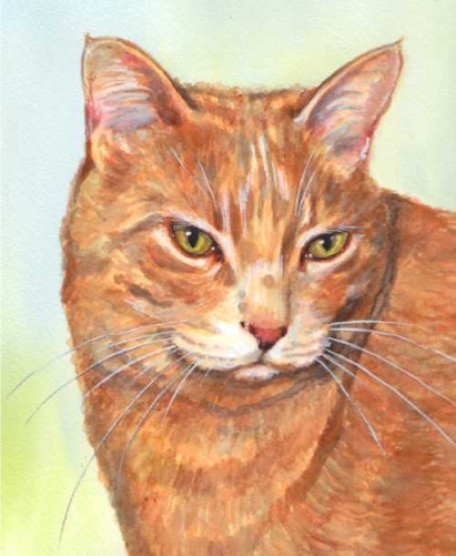 Yellow Cat Watercolor Carol Wells