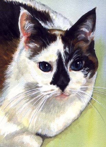 Blue Eyes Calico Cat Watercolor Carol Wells