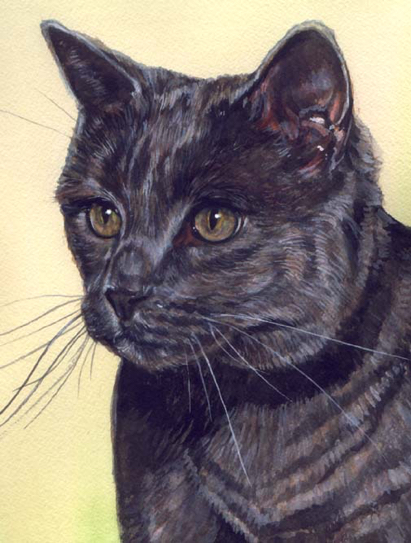 Grey Tabby Cat Watercolor Carol Wells