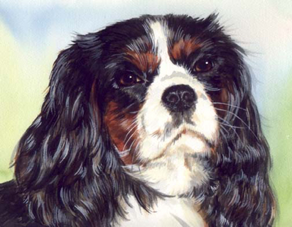 Cavalier King Charles Spaniel Dog Watercolor Portrait Carol Wells
