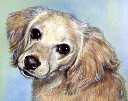 Dog Watercolor Pet Portrait Carol Wells