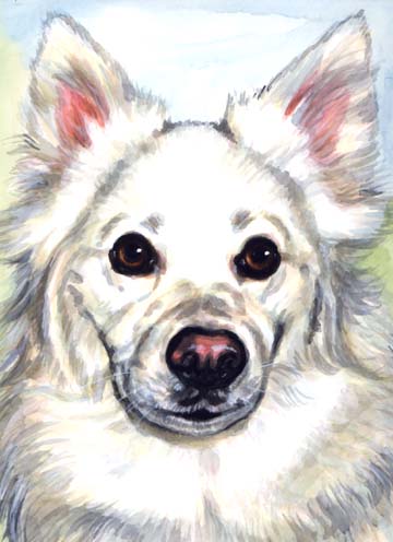 White Dog Watercolor Carol Wells