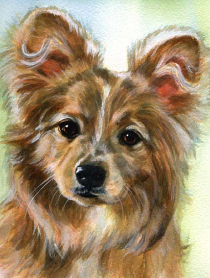 Dog Pet Portrait Watercolor Carol Wells