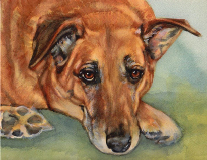 Dog Watercolor Carol Wells