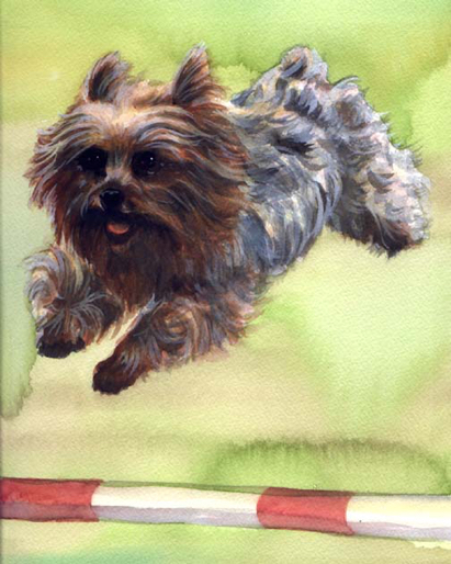 Yorkie Agility Dog Watercolor Carol Wells