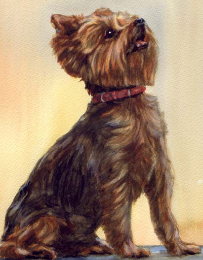 Yorkshire Terrier Yorkie Dog Watercolor Carol Wells