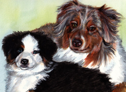 Australian Shepherds Blue Eyes Dog Watercolor Portrait Carol Wells
