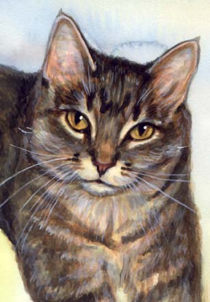 Tabby Cat Watercolor Carol Wells