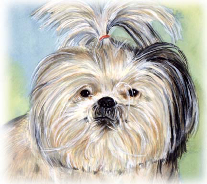 Shih Tzu Dog Watercolor Pet Portrait Carol Wells