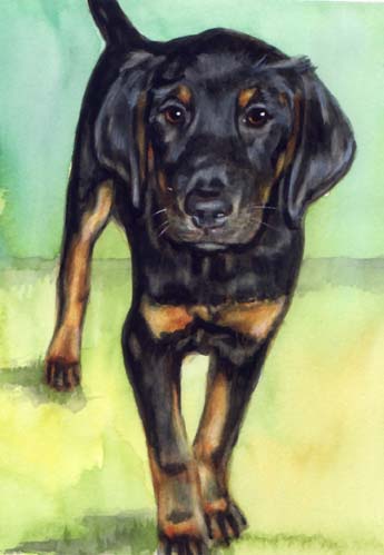 Puppy Watercolor Carol Wells