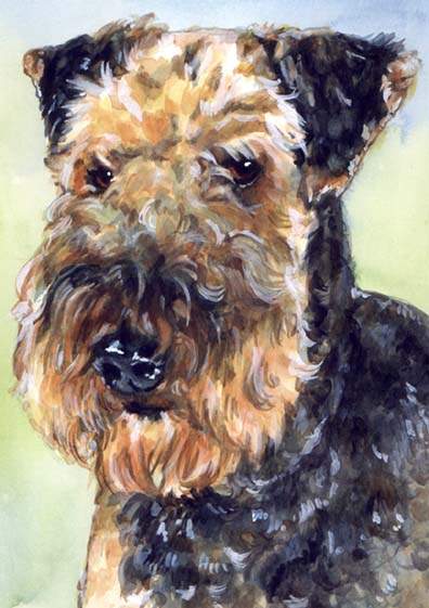 Airedale Terrier Dog Watercolor Carol Wells