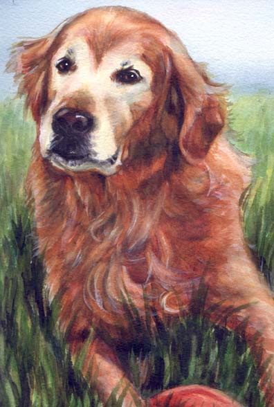 Golden Retriever Dog Watercolor Carol Wells