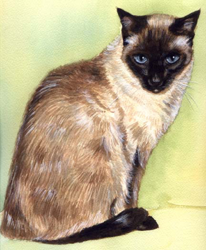Siamese Cat Watercolor Carol Wells