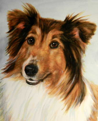 Sheltie Dog Watercolor Carol Wells