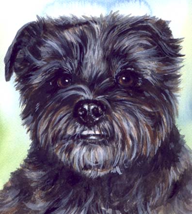 Cute Black Dog Watercolor Carol Wells