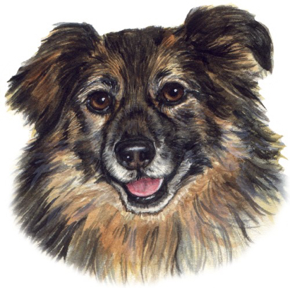 Dog Watercolor Pet Portrait Carol Wells
