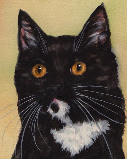 Black White Cat Watercolor Carol Wells