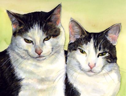 Cats Watercolor Painting Carol Wells