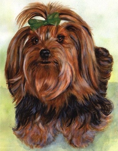 Yorkshire Terrier Yorkie Dog Watercolor Carol Wells