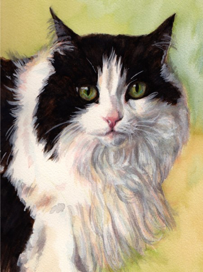 Long-haired Cat Watercolor Carol Wells