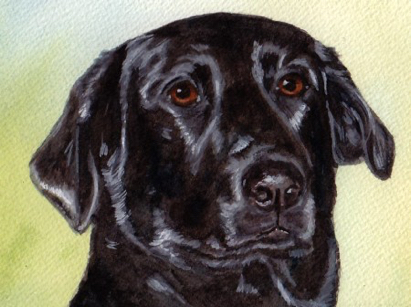 Black Labrador Retriever Dog Watercolor Pet Portrait Carol Wells