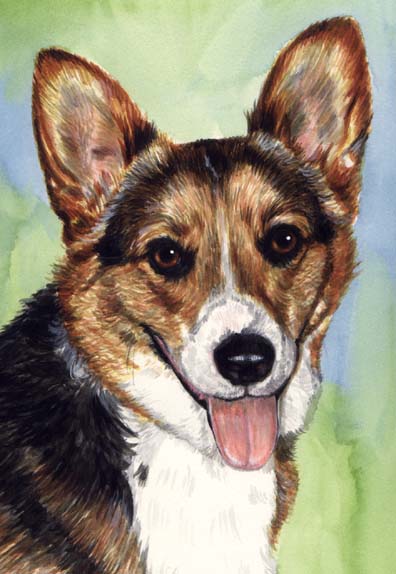 Corgi Dog Watercolor Pet Portrait Carol Wells
