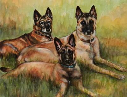 Belgian Malinois Dogs Watercolor Carol Wells