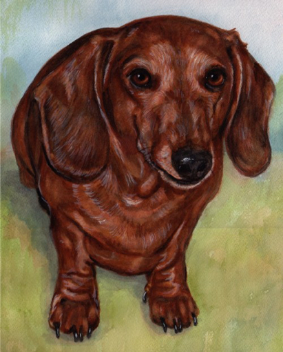 Dachshund Dog Watercolor Carol Wells