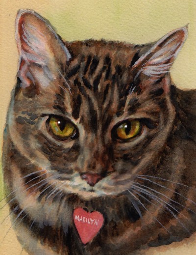 Tabby Cat Watercolor Carol Wells