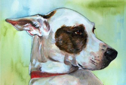 Dog Eye Patch Watercolor Carol Wells