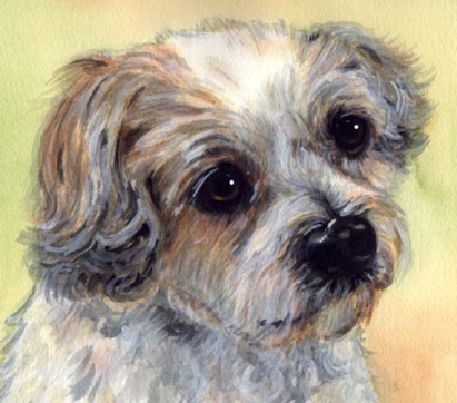 Dog Watercolor Portrait Carol Wells