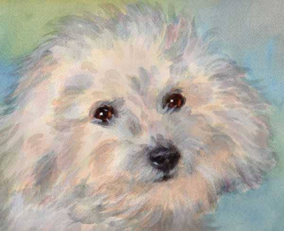 Bichon Dog Watercolor Carol Wells