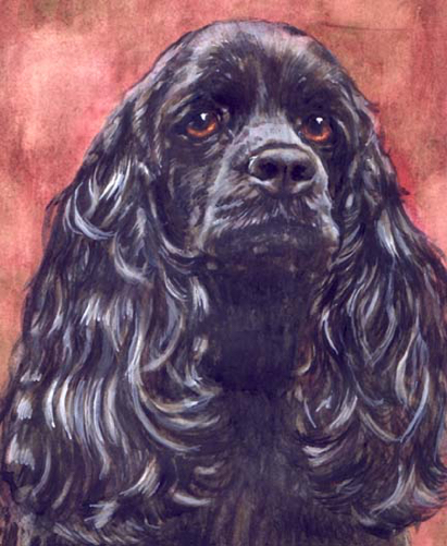 Black Cocker Spaniel Watercolor Pet Portrait Carol Wells