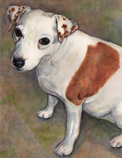 Jack Russell Terrier Dog Watercolor Carol Wells