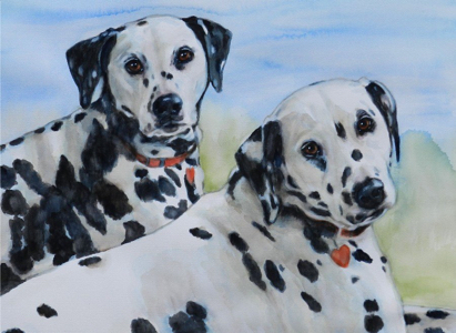 Dalmatian Dogs Watercolor Carol Wells