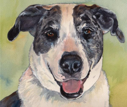 Catahoula Dog Watercolor Carol Wells