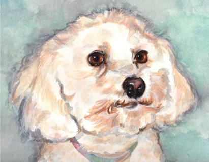 Bichon Frise Dog Watercolor Carol Wells
